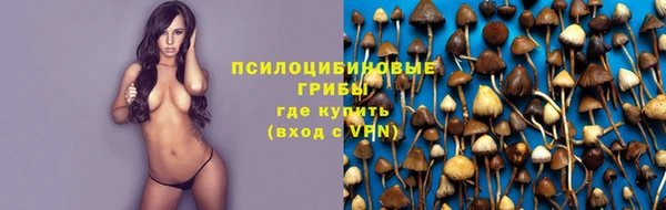 гашик Наволоки
