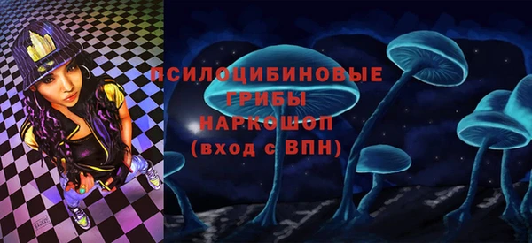 гашик Наволоки