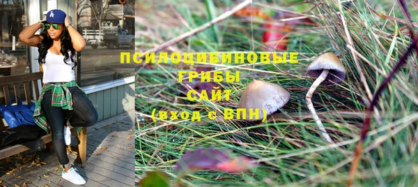 прущие крисы Алапаевск